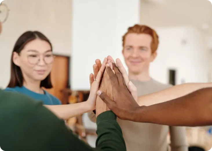 Tramitación de curatela